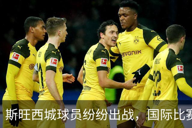 斯旺西城球员纷纷出战，国际比赛日热闹非凡